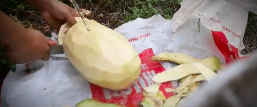 Trik mudah mengupas nangka muda agar getahnya hilang dan tak lengket