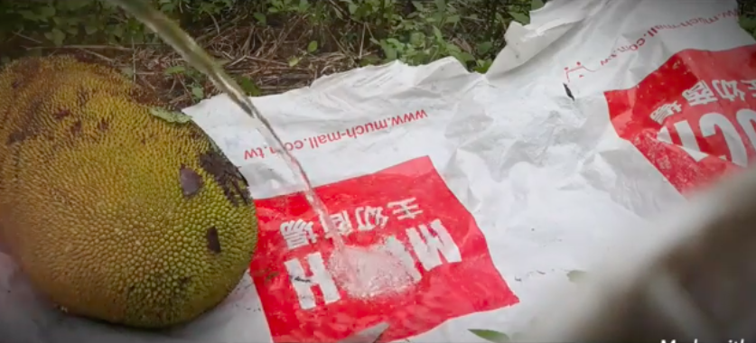 Trik mudah mengupas nangka muda agar getahnya hilang dan tak lengket