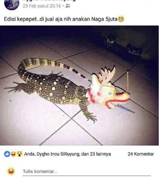 beda gambar sama tulisan di online shop © berbagai sumber beda gambar sama tulisan di online shop © berbagai sumber