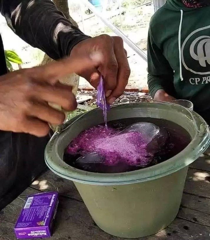 orang bikin minuman pakai wadah tak biasa © 2022 berbagai sumber