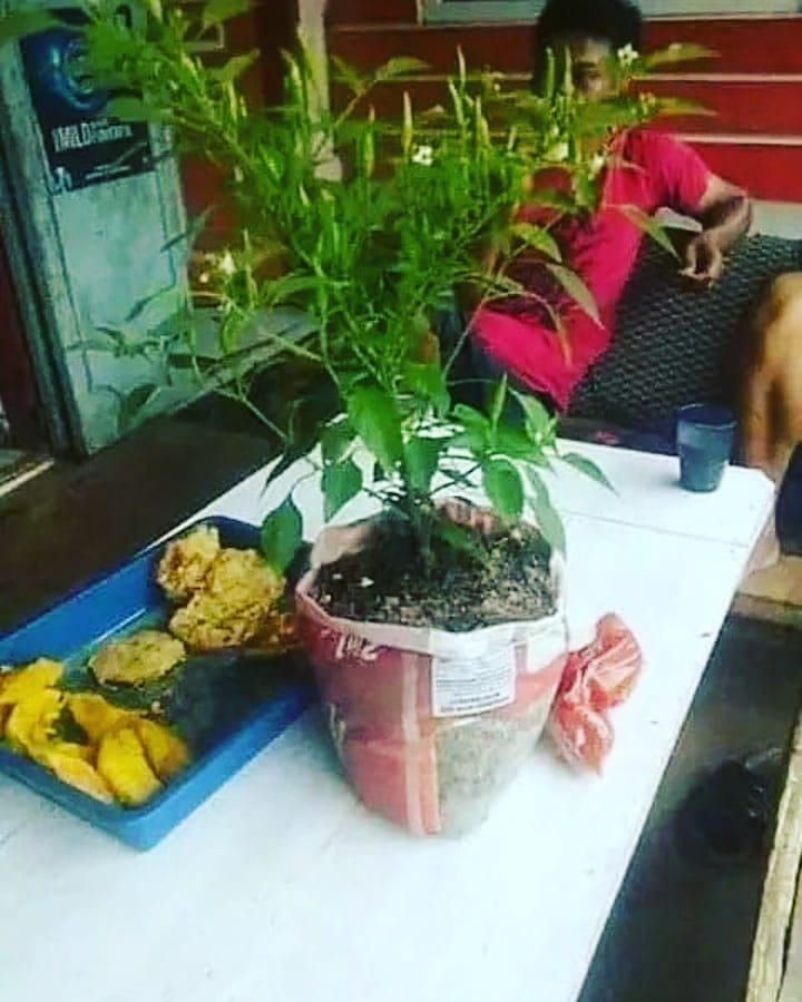 penjual gorengan ide nyelenehnya ada aja © berbagai sumber