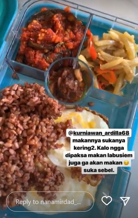10 Inspirasi bekal ala Nana Mirdad, bervariasi dan gizinya lengkap
