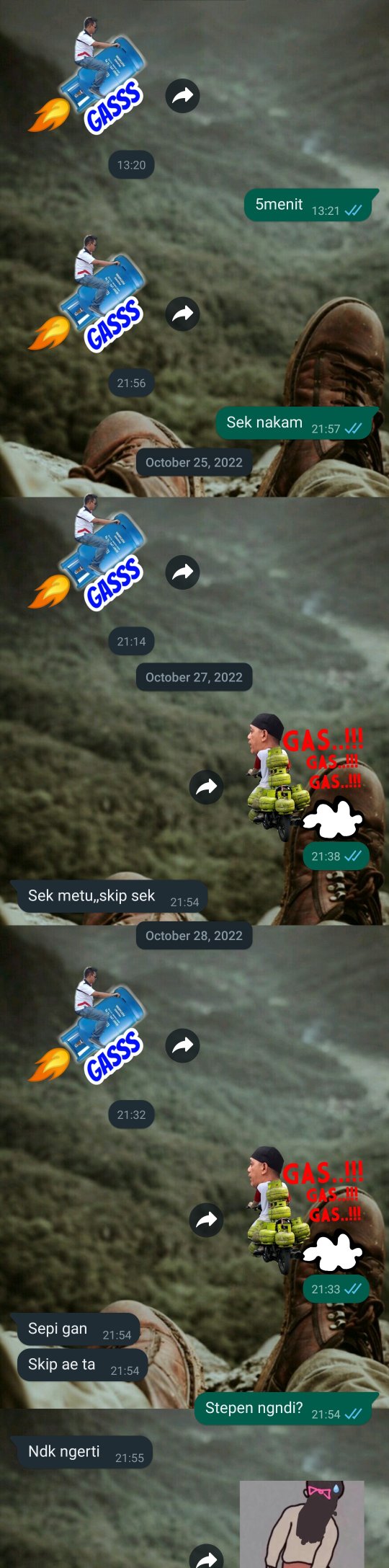 potret kirim chat WA yang sama berulang kali © berbagai sumber