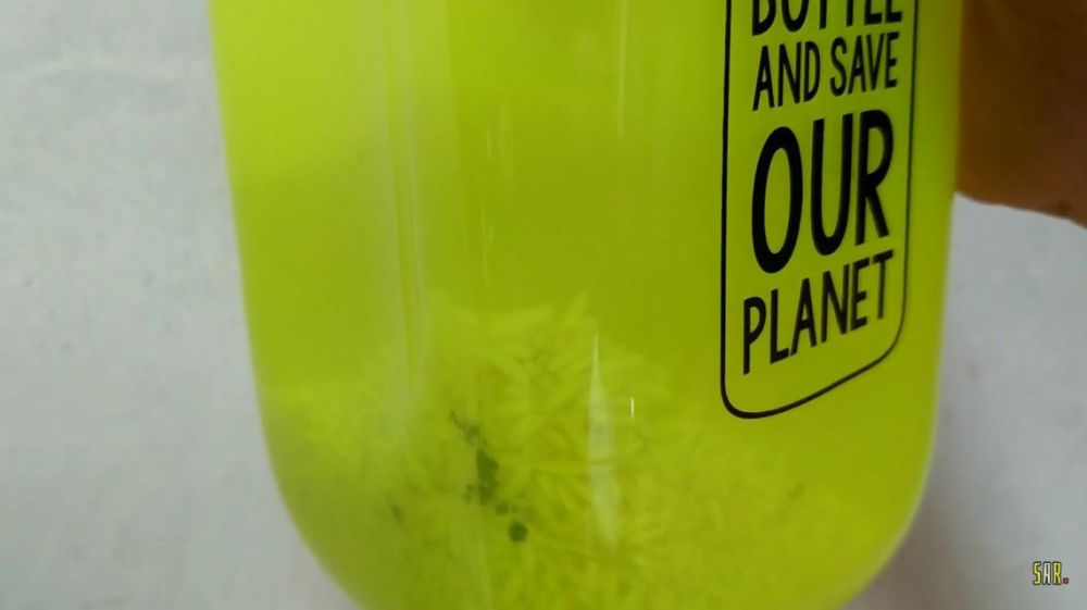 Cara ampuh bersihkan botol minuman berlumut, cuma pakai satu bahan