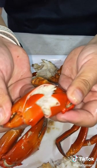 Trik jitu makan kepiting biar semua bagian daging tak terbuang