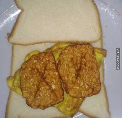 bentuk tempe nyeleneh © berbagai sumber