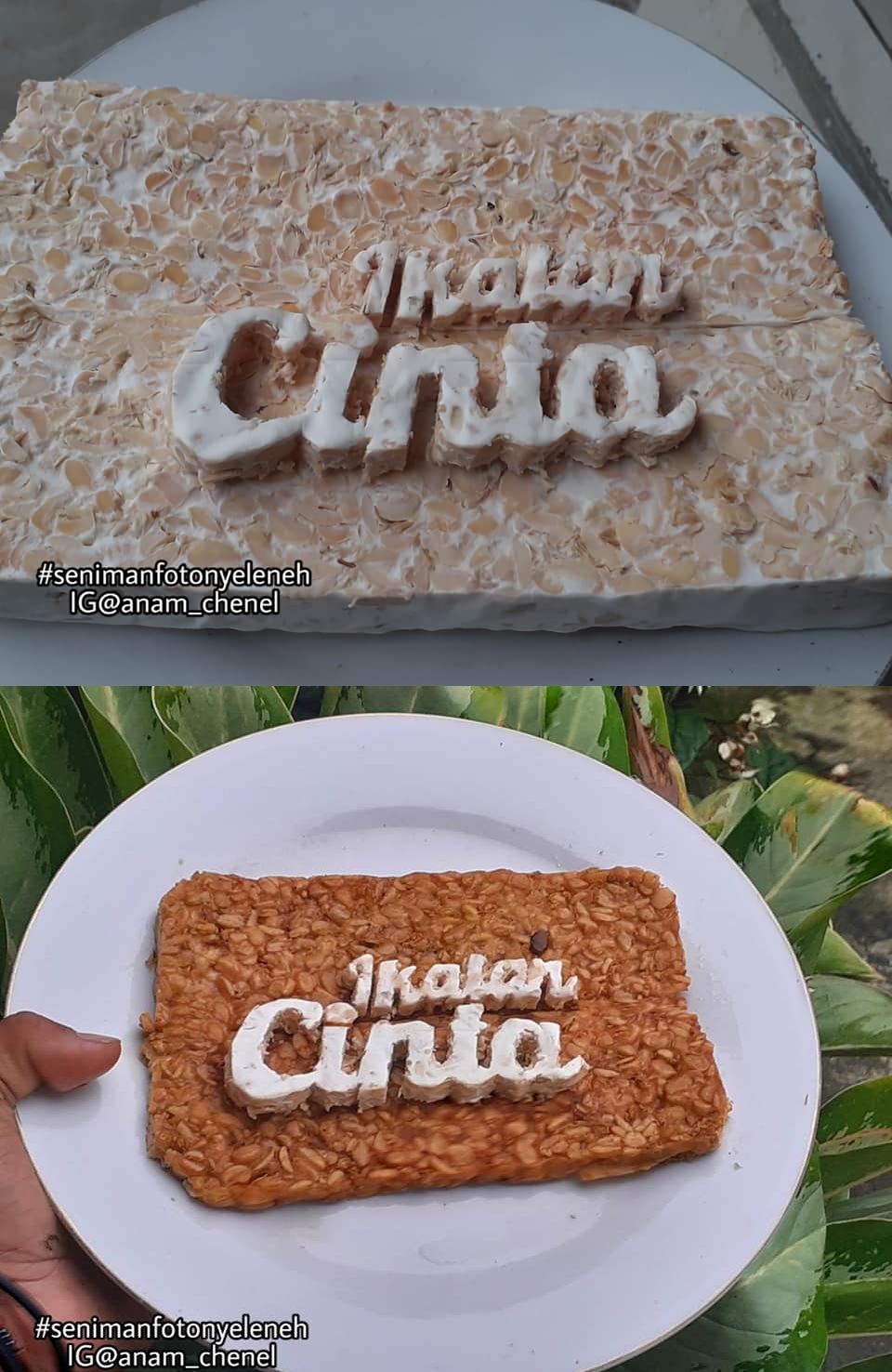 bentuk tempe nyeleneh © berbagai sumber