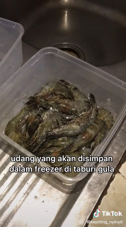 Trik simpan udang di freezer agar tak saling nempel dan mudah diambil
