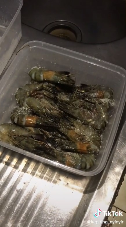 Trik simpan udang di freezer agar tak saling nempel dan mudah diambil