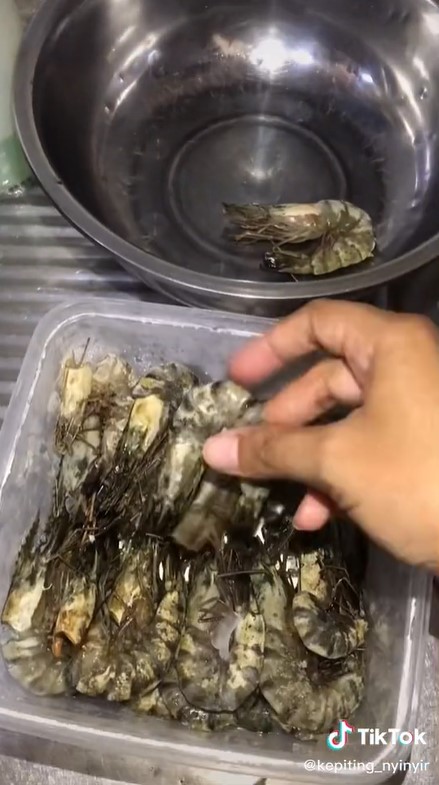Trik simpan udang di freezer agar tak saling nempel dan mudah diambil