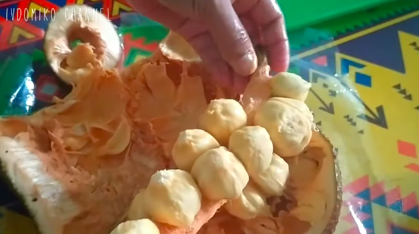 Cara mudah mengupas cempedak agar terbebas dari getah