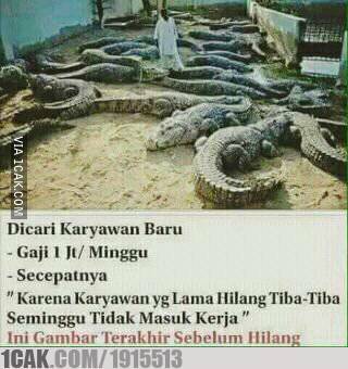 informasi lowongan ini nyeleneh banget © berbagai sumber informasi lowongan ini nyeleneh banget © berbagai sumber