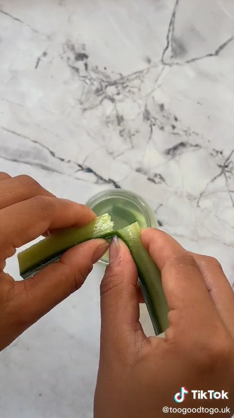 Cara simpan timun di kulkas agar tetap segar dan teksturnya renyah