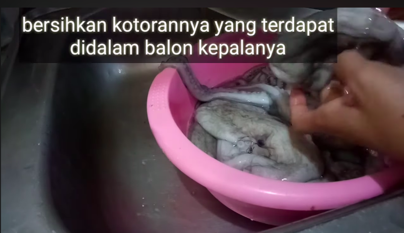 Trik simpel membersihkan gurita agar tidak alot dan amis