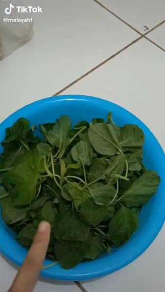 Cara simpan bayam agar awet selama seminggu, cocok buat anak kos