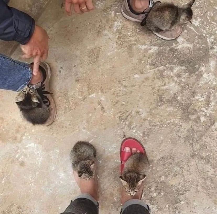 orang kalau terjebak di momen canggung © berbagai sumber orang kalau terjebak di momen canggung © berbagai sumber