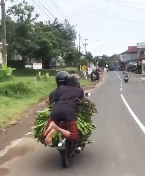 aksi cewek waktu dibonceng motor kocak © berbagai sumber aksi cewek waktu dibonceng motor kocak © berbagai sumber
