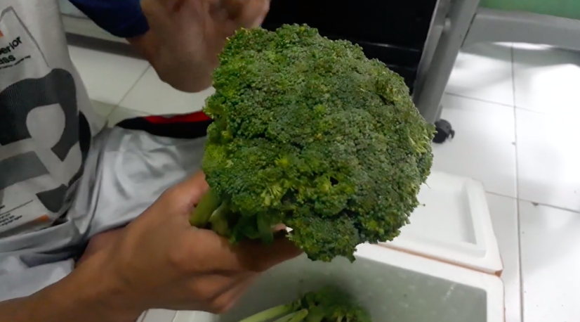 Jangan asal pilih, begini trik memilih brokoli segar dan berkualitas