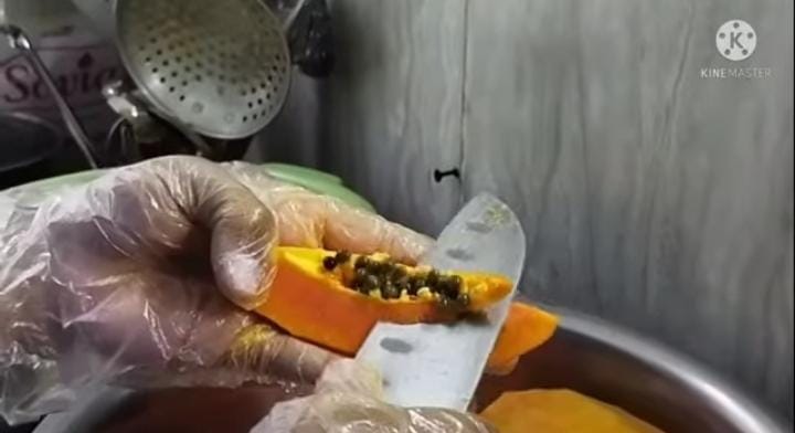 Trik menyimpan pepaya agar tidak cepat busuk, tahan berbulan-bulan