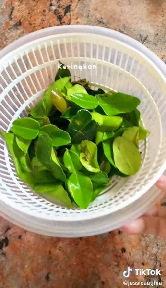 Tanpa freezer, ini trik simpan daun jeruk tetap wangi dan nggak kering