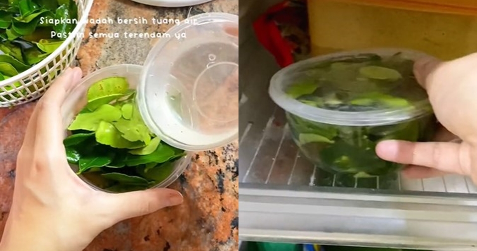 Tanpa freezer, ini trik simpan daun jeruk tetap wangi dan nggak kering