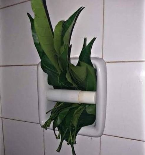 potret tisu toilet nyeleneh © berbagai sumber