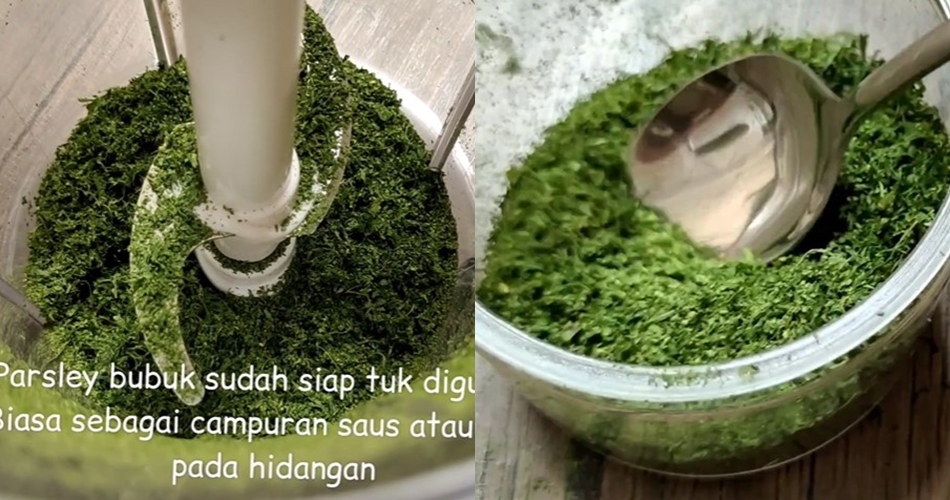 5 Cara bikin bubuk parsley homemade, awet sampai 3 tahun