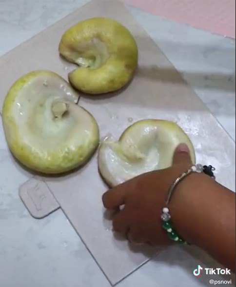 Cara masukkan telur ke usus ala masakan Padang, padat dan antibocor