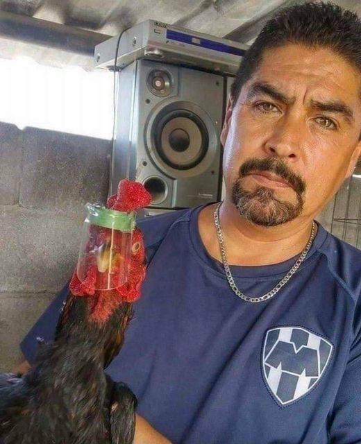 potret lucu kandang ayam © berbagai sumber potret lucu kandang ayam © berbagai sumber