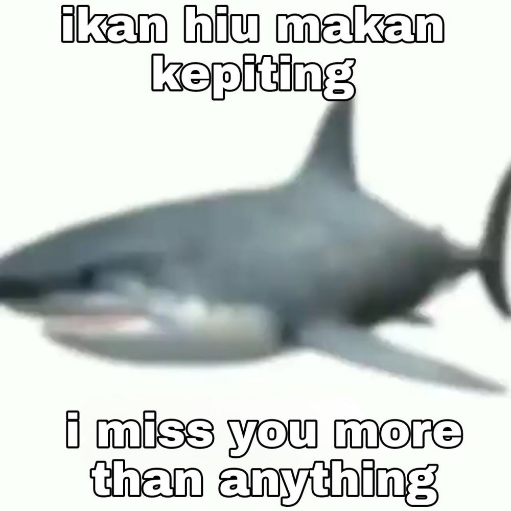 meme pantun receh © berbagai sumber