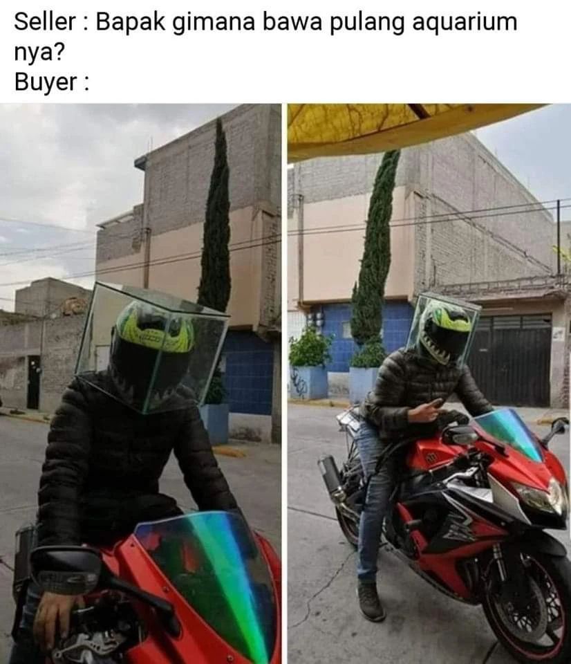 momen apes harus jeli lihatnya tapi © berbagai sumber momen apes harus jeli lihatnya tapi © berbagai sumber