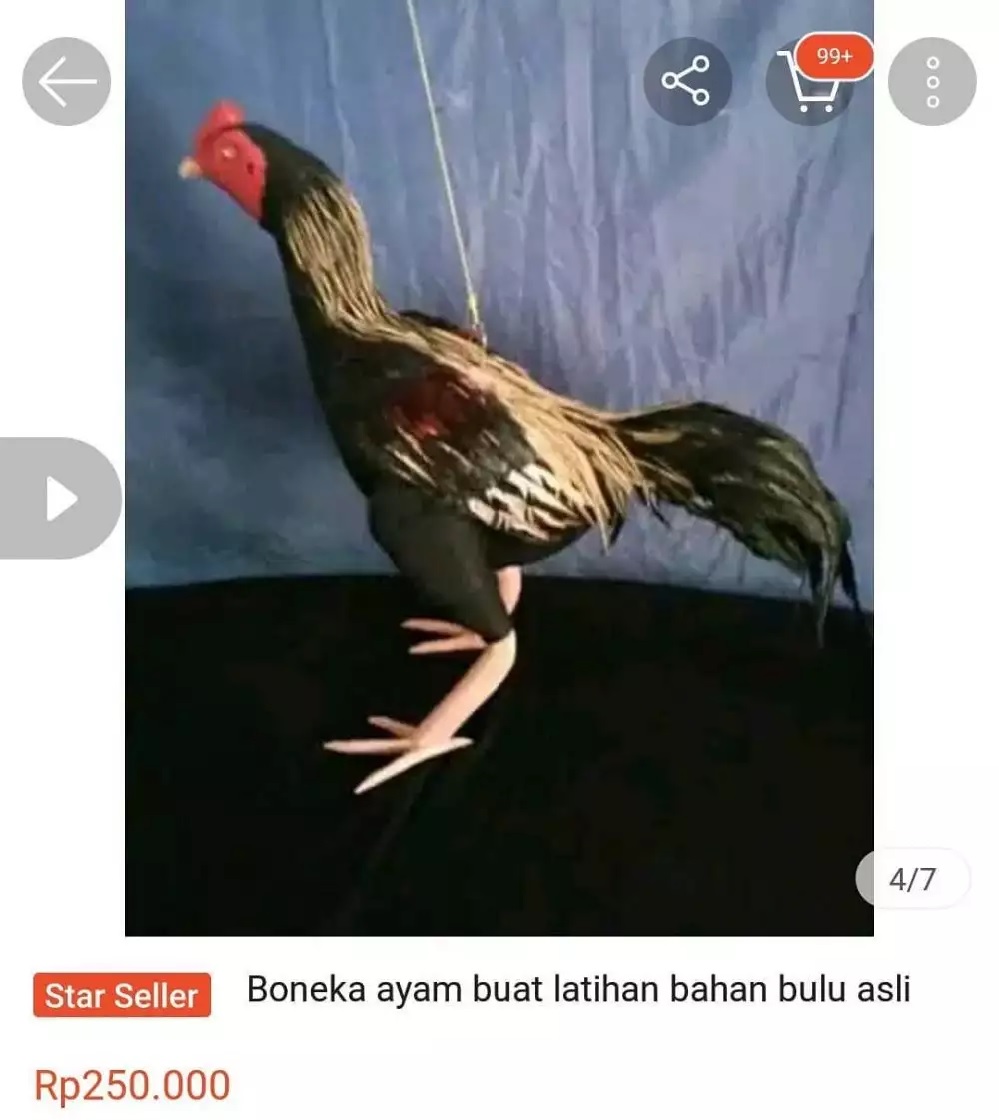  potret barang absurd kelewat mahal © berbagai sumber