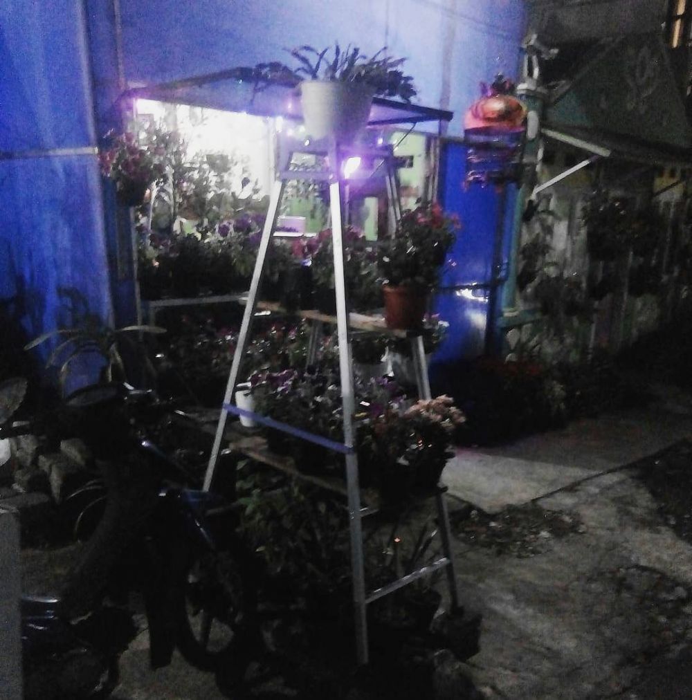 ide nyeleneh bercocok tanam © berbagai sumber