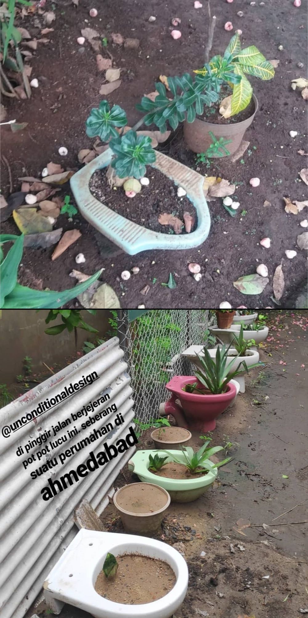 ide nyeleneh bercocok tanam © berbagai sumber