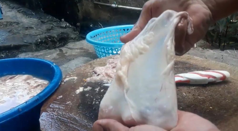 Cara bersihkan kulit ayam agar teksturnya lebih krispi saat dimasak