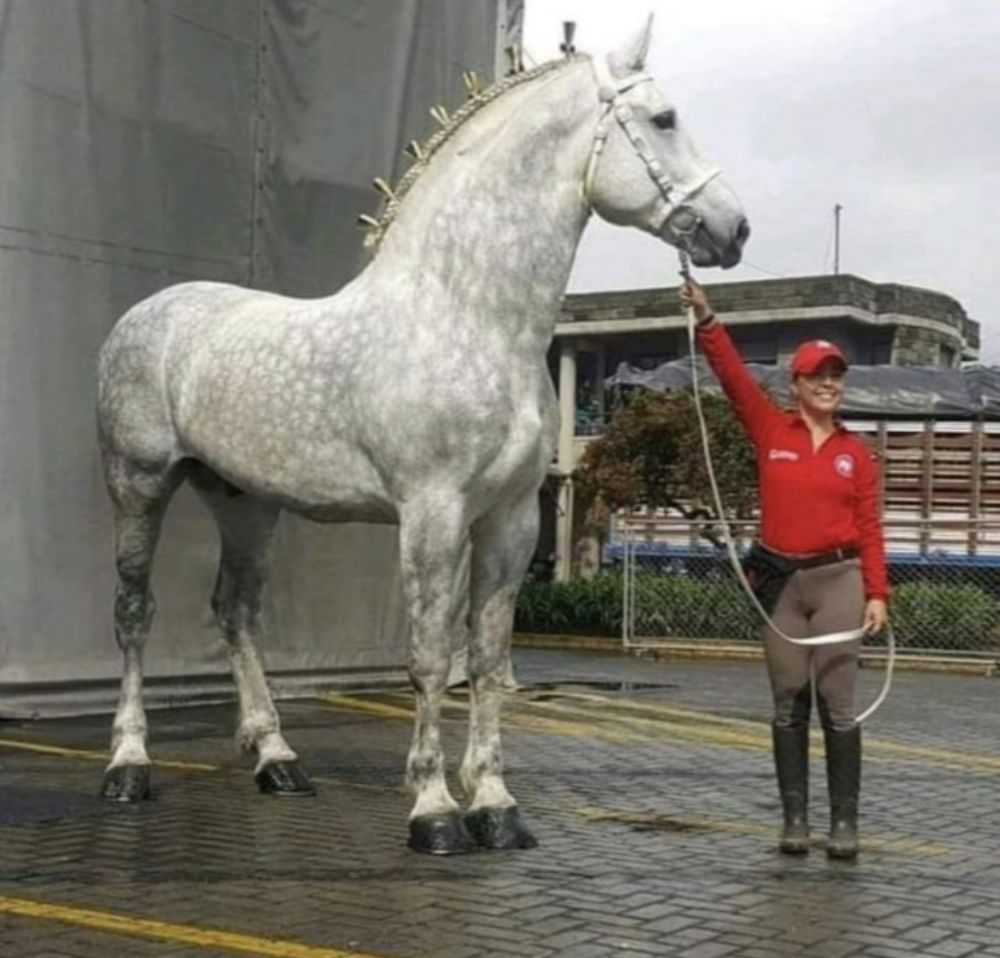 Hewan berotot kekar © 2022 brilio.net