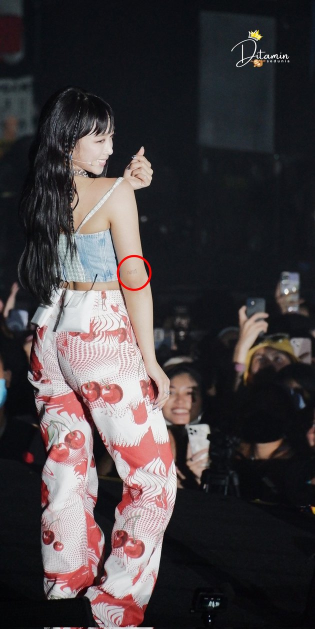 Tato Dita Karang berbagai sumber