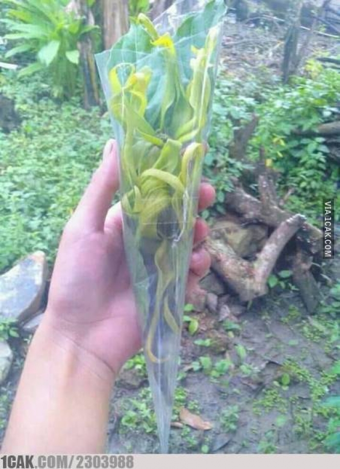 hadiah nyeleneh untuk kekasih © berbagai sumber hadiah nyeleneh untuk kekasih © berbagai sumber