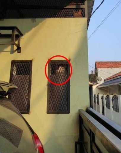 dilihatin bikin auto senam jantung © berbagai sumber