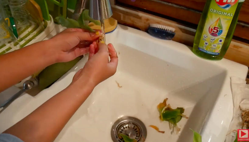 Cara menyimpan kencur agar tetap segar dan tahan hingga setahun