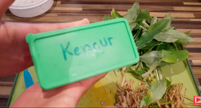 Cara menyimpan kencur agar tetap segar dan tahan hingga setahun