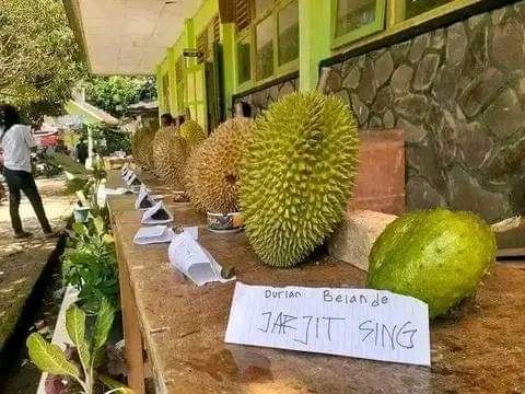 kesalahan tersembunyi susah pahamnya © berbagai sumber