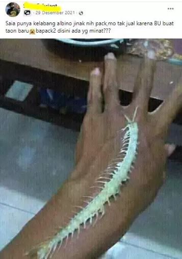 bapak bapak bantu jualan © berbagai sumber