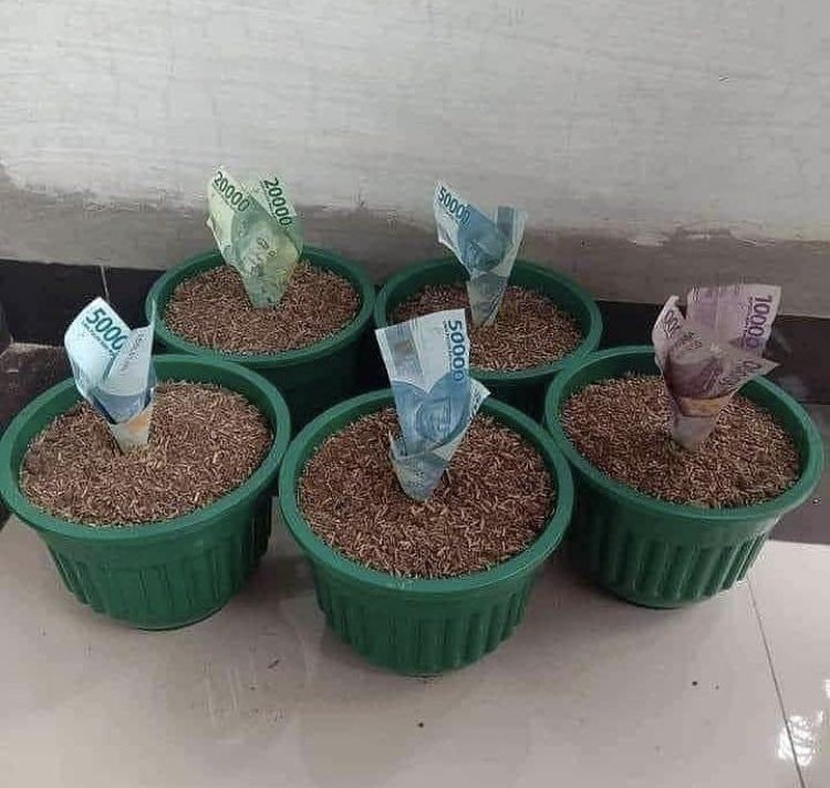 Tingkah orang menghalu jadi kaya © 2022 brilio.net