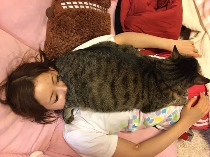 apes gara gara kucing tidur © Instagram apes gara gara kucing tidur © Instagram