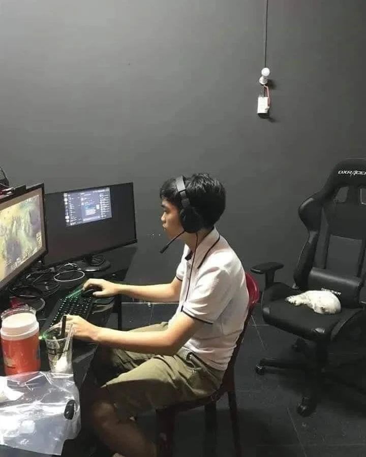 apes gara gara kucing tidur © Instagram apes gara gara kucing tidur © Instagram