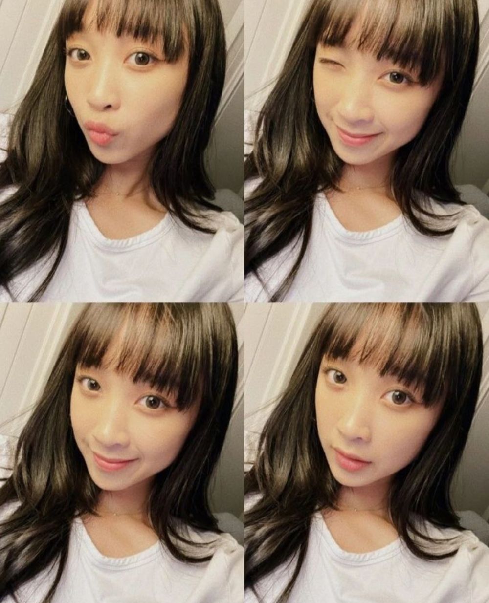 Perjalanan karier Dita Karang Instagram