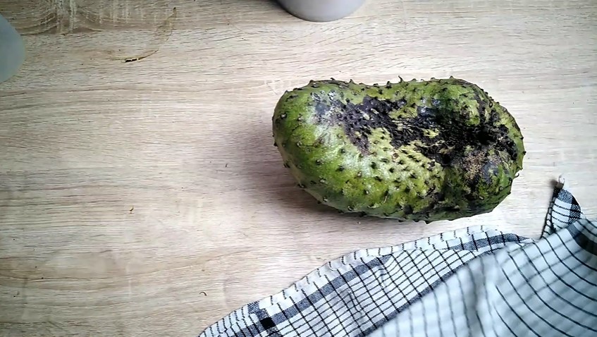 Bukan pakai beras, ini cara jitu memeram buah sirsak biar cepat matang
