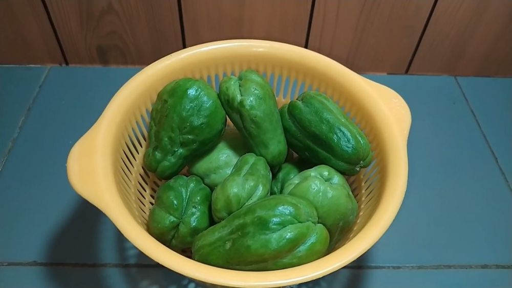 Cara simpan labu siam tanpa kulkas, tetap segar hingga satu minggu