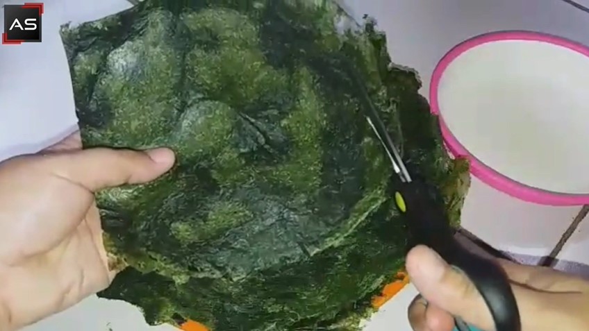 7 Cara bikin nori rumahan dari daun singkong, gurih dan ekonomis